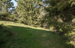 Worthington Drive, Eureka, CA 95503