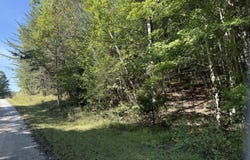 Bear Hollow Rd, Oneida, TN 37841