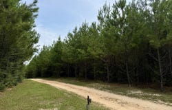 Buckhead Lane, Tract B, Jackson, AL 36545