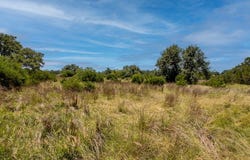 250 Deer Run, Mountain Home, TX 78058