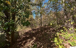 AB Highway, Lincoln, MO 65338