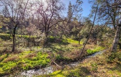 Bear Mountain Road, Redding, CA 96003