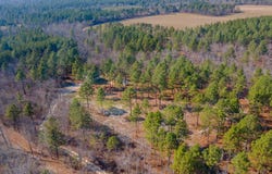 316 Cadle Crossing Road, Windsor, SC 29856