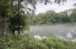 Old River Rd lot: 10-29, Pangburn, AR 72121