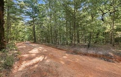 45 Buck Creek Road, Moyers, OK 74557