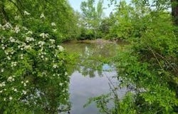 Scoggins Lane, Dayton, TN 37321