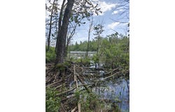 4063 Monaghan Point Road, Alpena, MI 49707