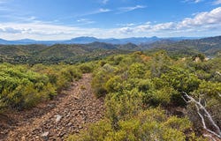 5678 Acorn Patch, Julian, CA 92036