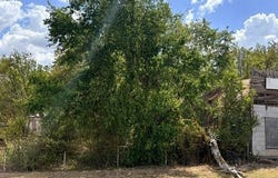Mingus Boulevard, Mingus, TX 76463
