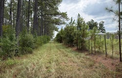Parcel 10 Yawn School, Lumberton, MS 39455