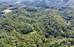 Hogskin Road, Manchester, KY 40962
