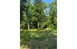 Marigold Dr, Lebanon, MO 65536