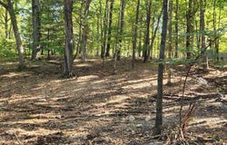 Goldfinch Pl, Mount Pocono, PA 18344