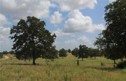 8036 CR 259, Cameron, TX 76520