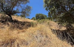 Coleman Drive, San Rafael, CA 94901