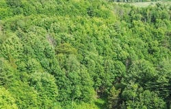 36349 Co Rte 22, Antwerp, NY 13608