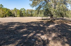 County Road 236 lot: 2, Bell, FL 32619
