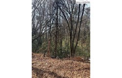 Hollyknoll Rd. Lot #49 & 50, Glade Valley, NC 28627