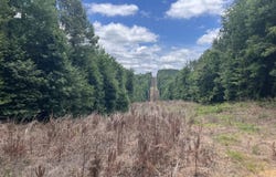 Highway 13, Eldridge, AL 35554