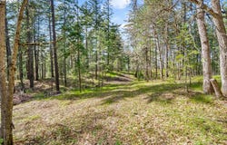 Paradise Ridge Rd, Mosier, OR 97040
