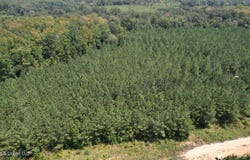 Cr 2132, McCool, MS 39108