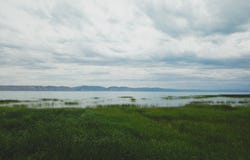 Fish Haven, ID 83287