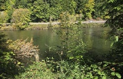 10195 Sweet Creek Rd, Mapleton, OR 97453