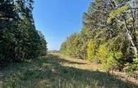 9641 Crane Drive, Bucyrus, MO 65444