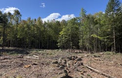 Edes Falls Road, Harrison, ME 04040