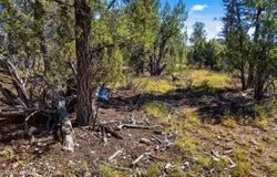 1948 Elk Road, Heber, AZ 85928