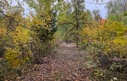 51315 Sand Creek Rd, Bruno, MN 55712