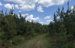 005 George Milling Rd, Cuthbert, GA 39840