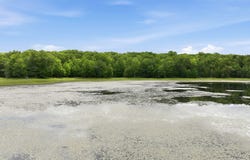 Goose Lake, Spooner, WI 54801