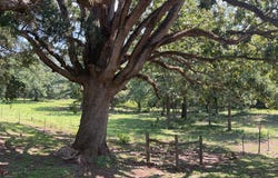 4228 Center Ridge Rd, HONORAVILLE, AL 36042