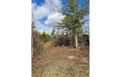 2470 Highway 84, Amity, AR 71921