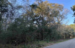 Warrior Dr, Lacombe, LA 70445