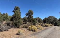 Falling Springs Road, Big Bear City, CA 92314