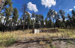 57 E FOREST Dr, Rociada, NM 87742