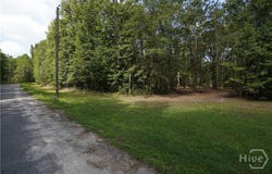 Williams Road, Guyton, GA 31312