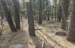 Seal Lane, Bonanza, OR 97623