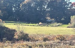 11 Amber Drive, Wrentham, MA 02093