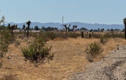 10501 Holly Road, Adelanto, CA 92301