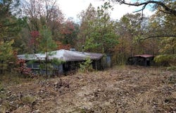 117 Chinkapin Cv, SUGAR TREE, TN 38380