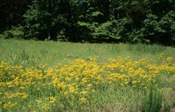 Brodies Landing, Parsons, TN 38363