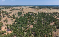 40 acres Farmer Road, Custer, SD 57730