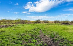 County Road 108, Buckholts, TX 76518