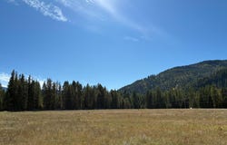 2022 ALADDIN Rd, KETTLE FALLS, WA 99141