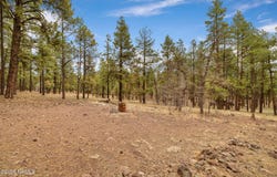 7804 E Long Bow Drive, Williams, AZ 86046