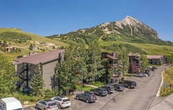 651 Gothic Road, Mt. Crested Butte, CO 81225