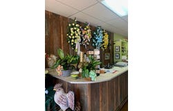 107 Main St., WATER VALLEY, MS 38965